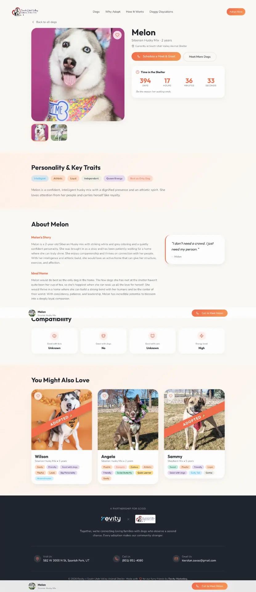South Utah Valley Animal Shelter profile with personality tags, first-person copy and time-based adoption information